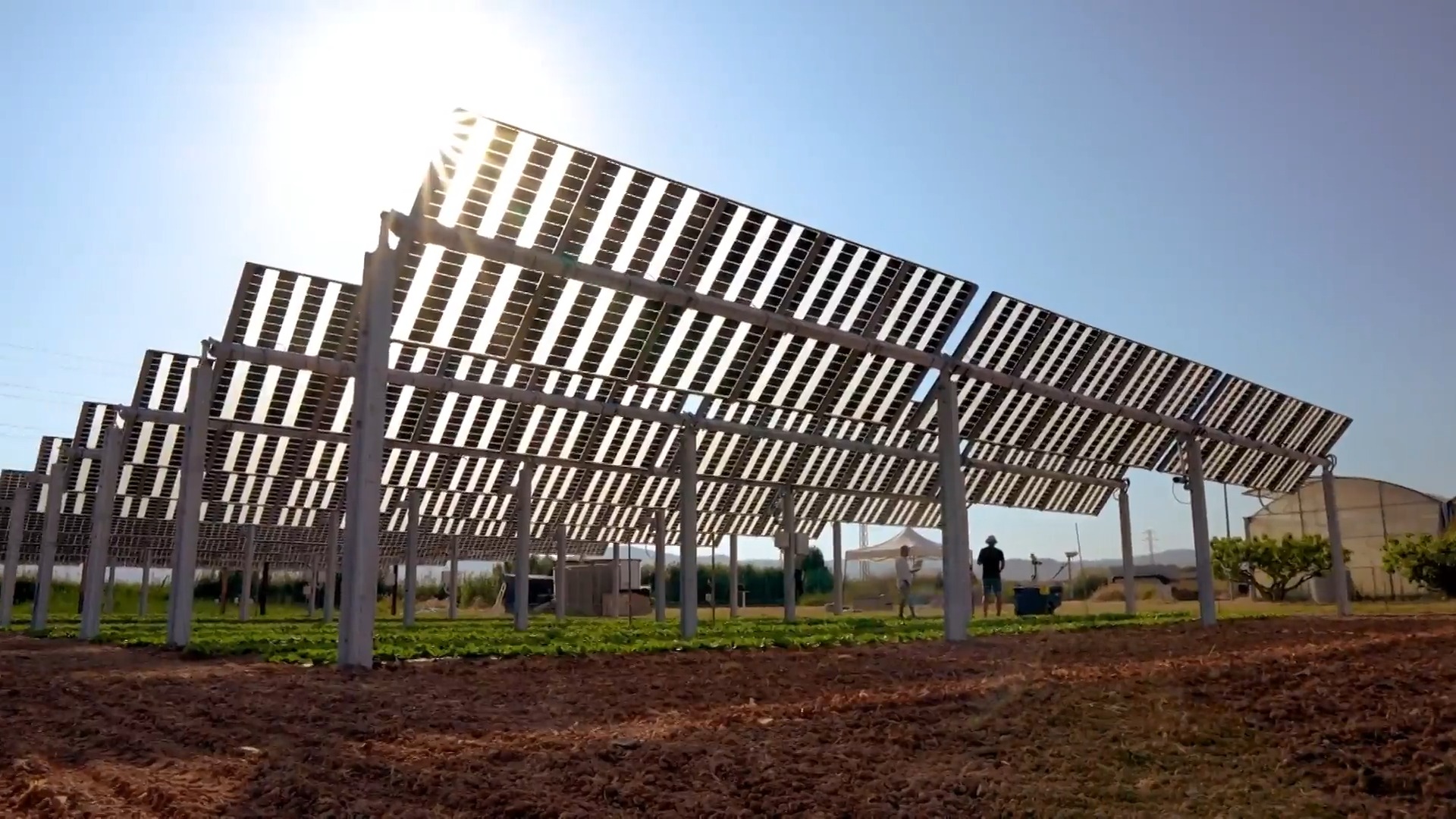 Primera planta agrivoltaica monitorada per al control integral del cultiu hortícola, a l'Agròpolis