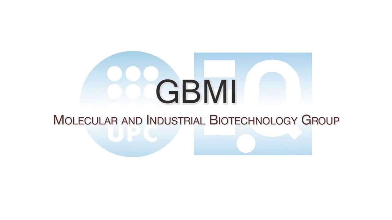 Molecular and industrial biotechnology group GBMI