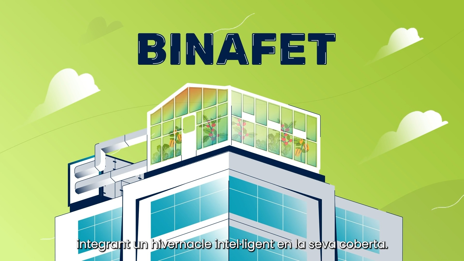 Projecte BINAFET