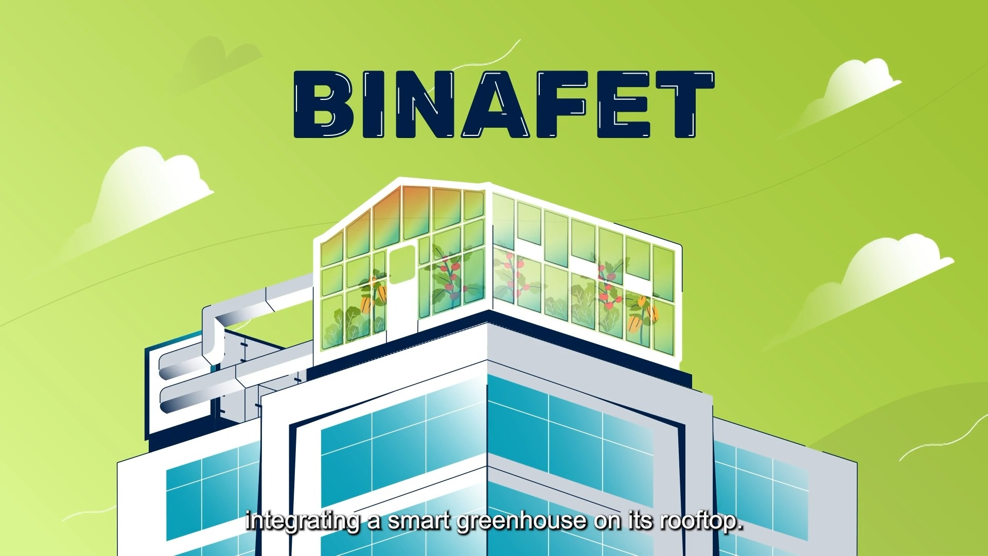 BINAFET Project