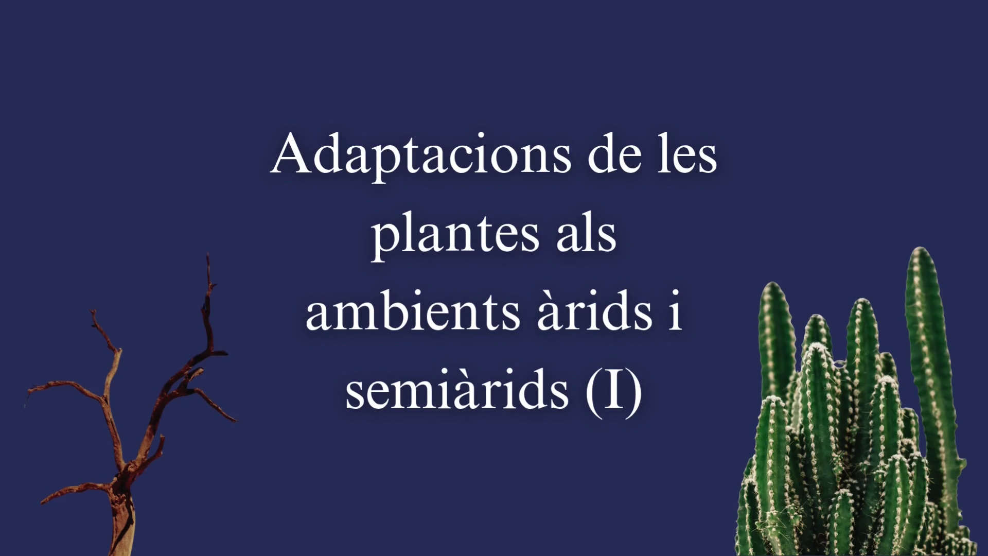 Adaptacions de les plantes als ambients àrids i semiàrids (I)