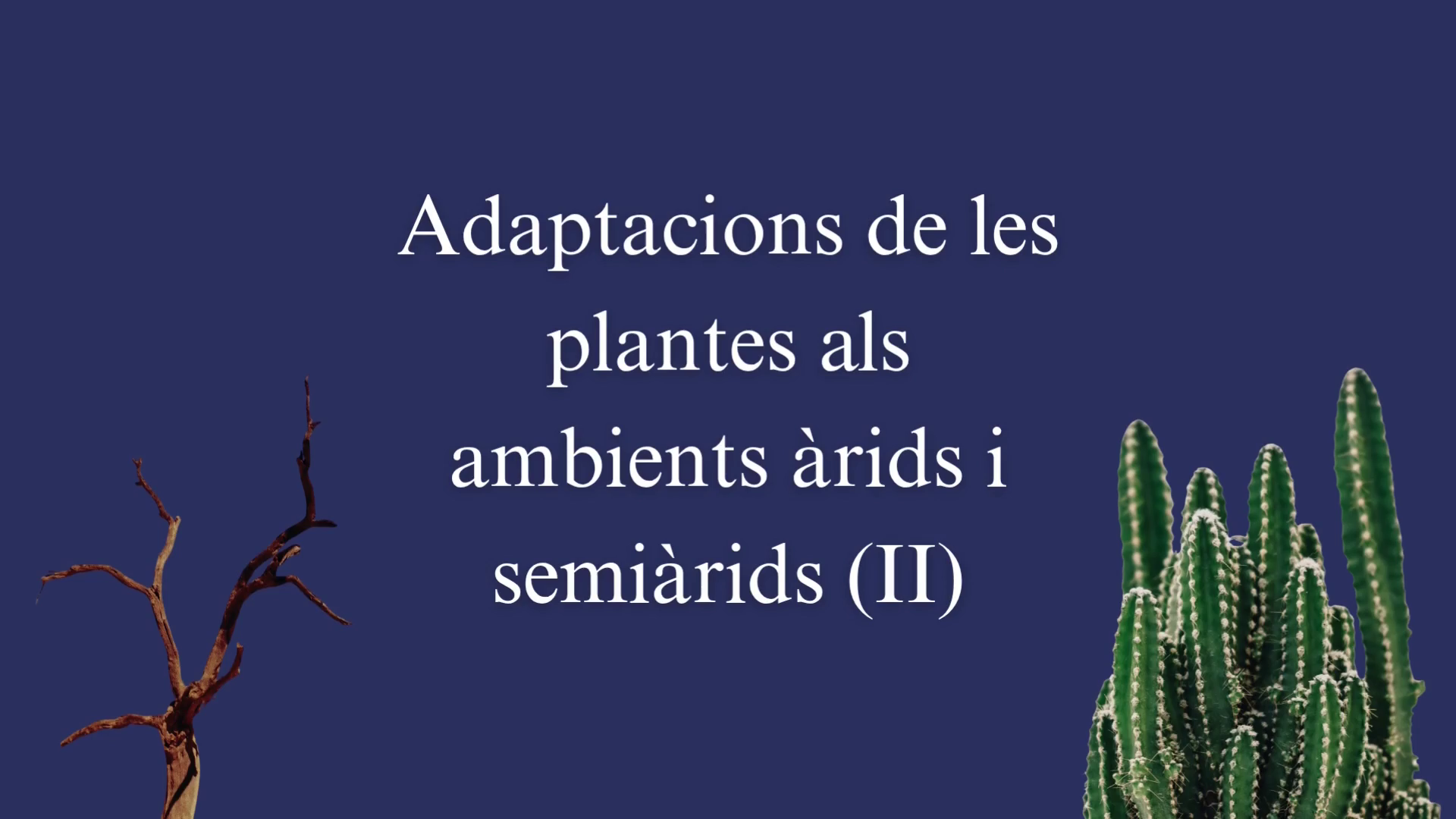 Adaptacions de les plantes als ambients àrids i semiàrids (II)