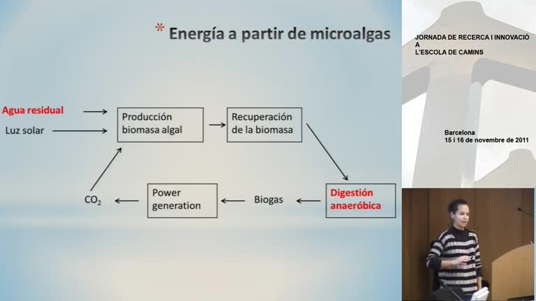Biogas production from algae biomass grown in high rate ponds for wastewater treatment