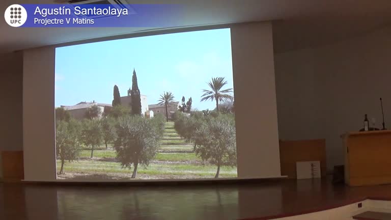 El aceite de oliva, desde la antigüedad hasta nuestros días: “el ejemplo de Aubocassa”.