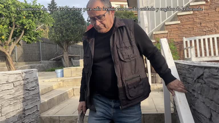 Protocolo de instrucciones para el cuidado de mascotas con baja visión