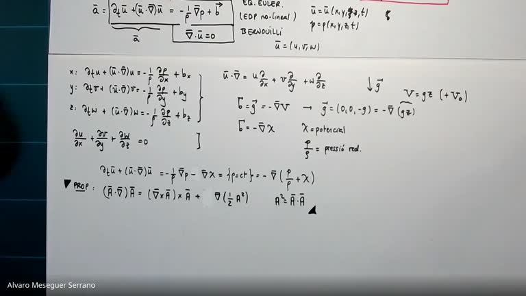 MMF2021_21_Equacio_Euler_Vorticitat