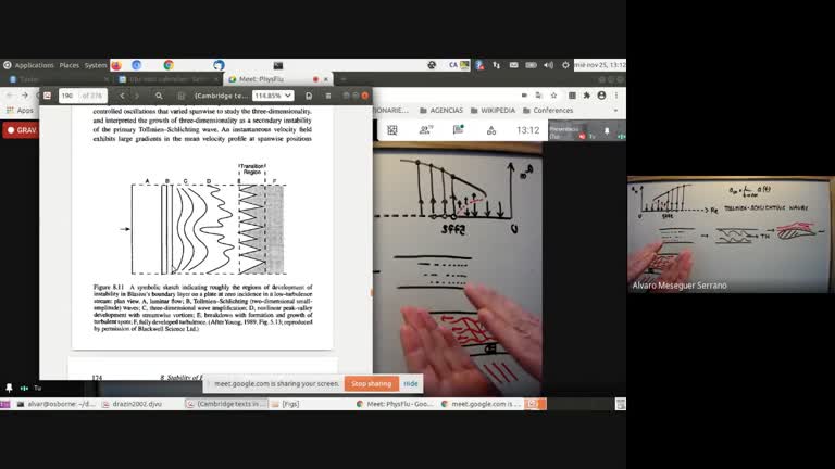 Hydro_Stability_Tollmien_Schlichting_Waves