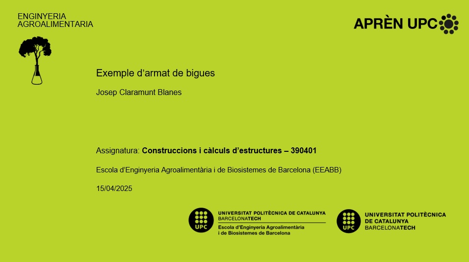 Exemple d'armat de bigues
